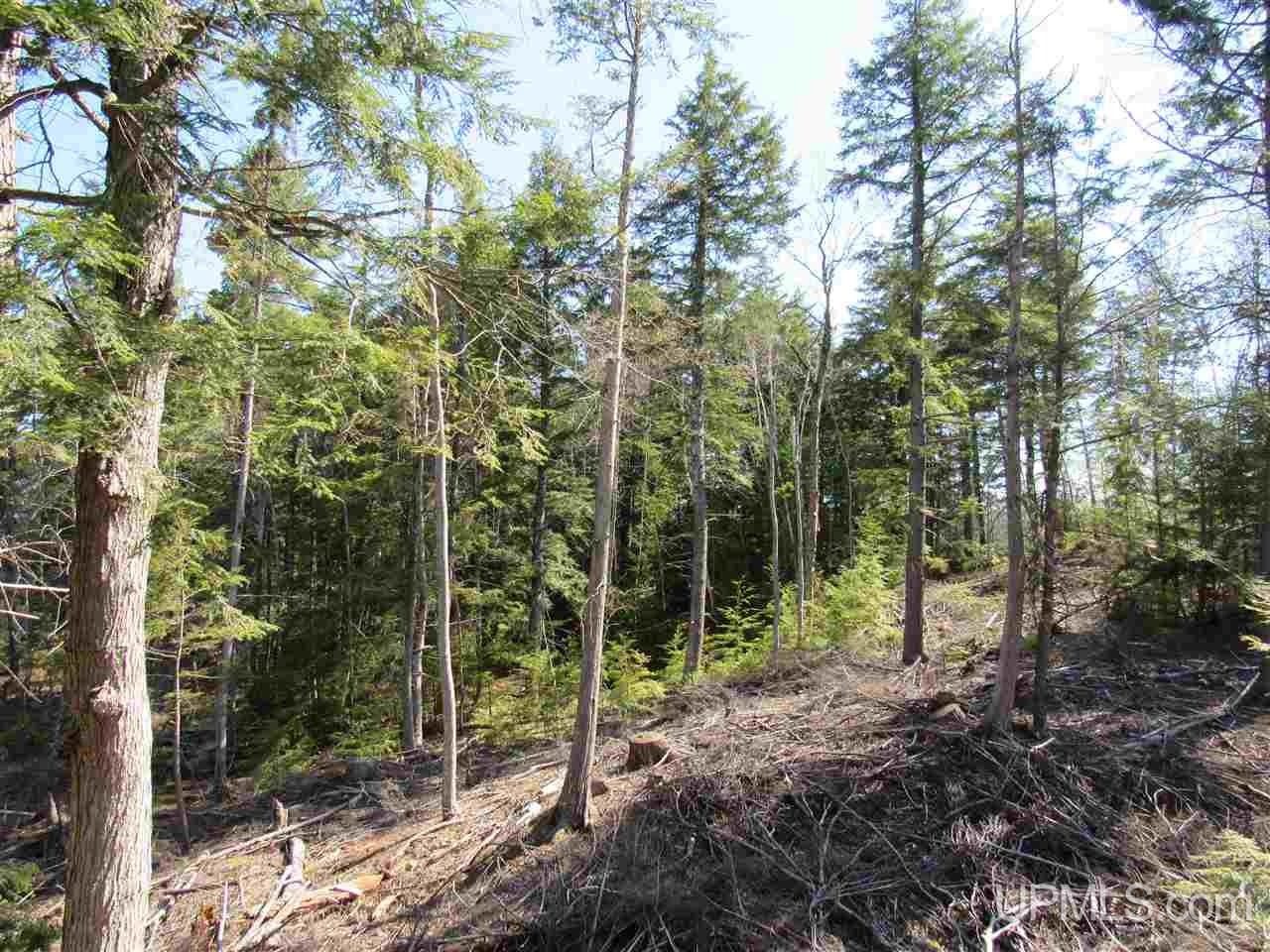 N2510 Co Rd Kch Big Bay, MI 49808 - Photo 23 of 39