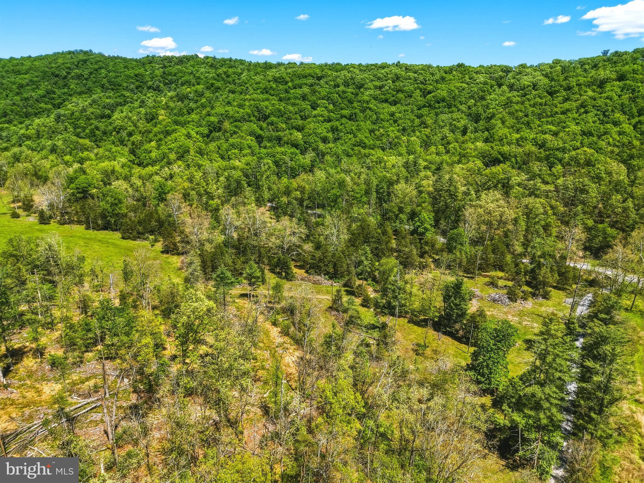 0 Hepner Road Mount Jackson, VA 22842 - Photo 13 of 19