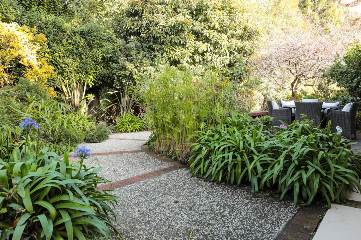 51 Fair Oaks Lane Atherton, CA 94027 - Photo 18 of 22 a view of a yard with plants and trees