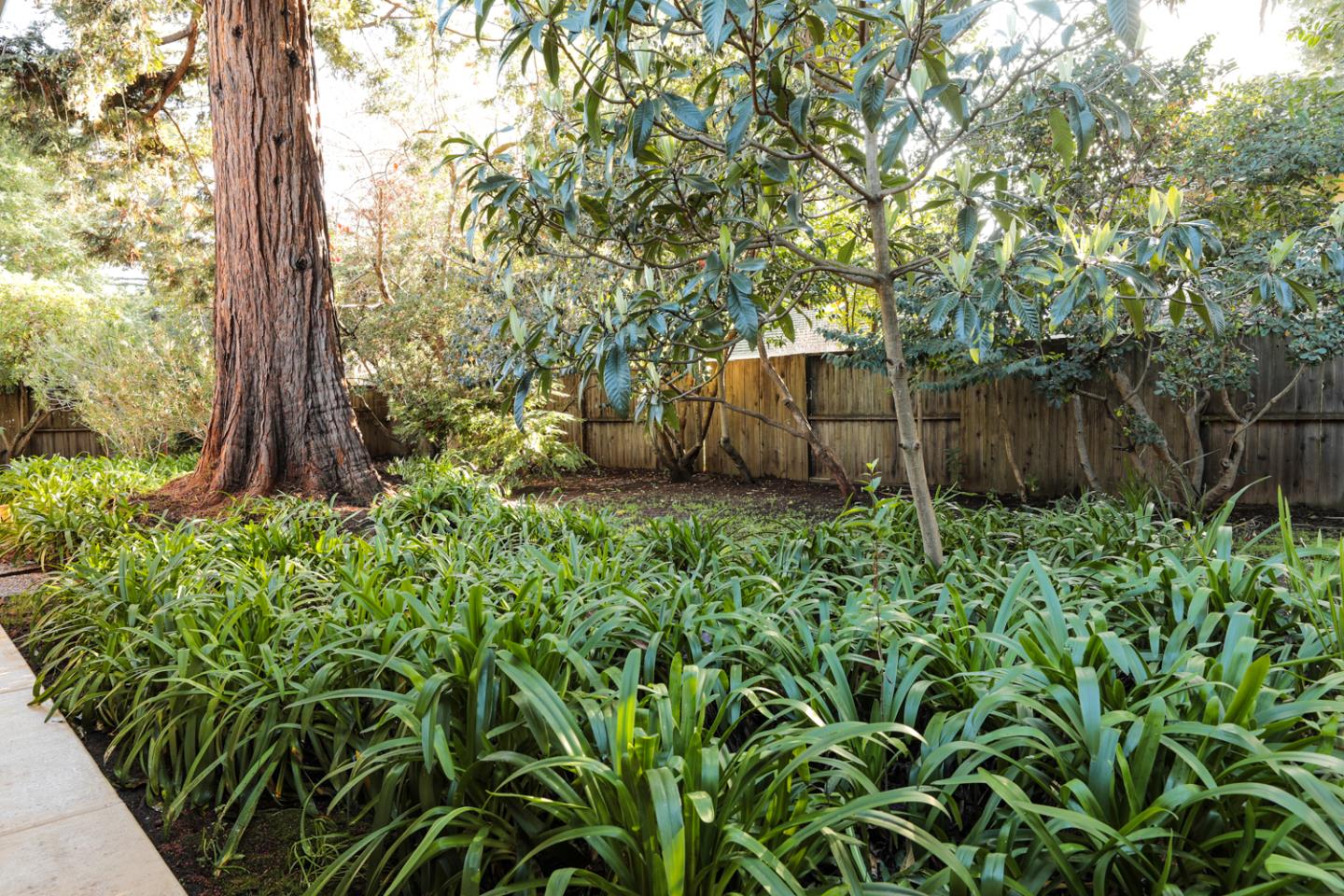 51 Fair Oaks Lane Atherton, CA 94027 - Photo 21 of 22 a view of a garden
