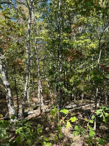 a view of a yard with an outdoor space