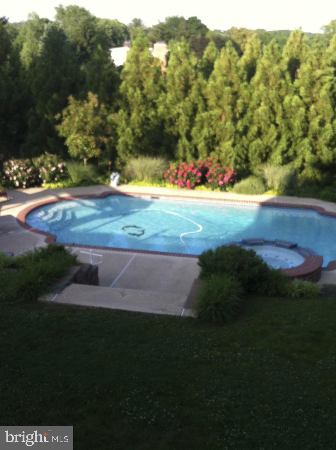 9917 Kendale Road Potomac, MD 20854 - Photo 25 of 26 Swimming Pool