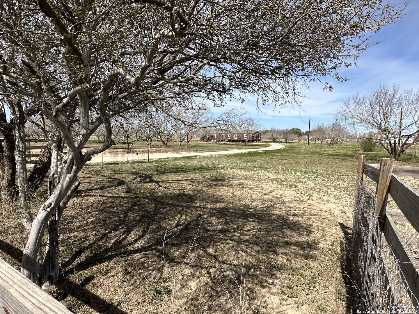a view of an ocean from a yard