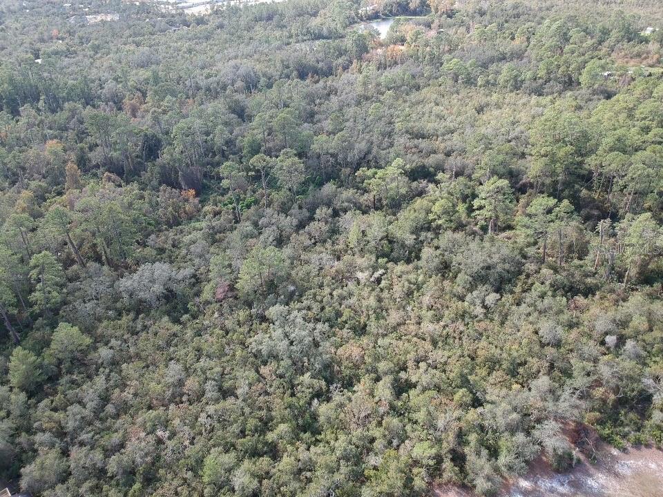 1488 Anderson Street Deltona, FL 32725 - Photo 5 of 9