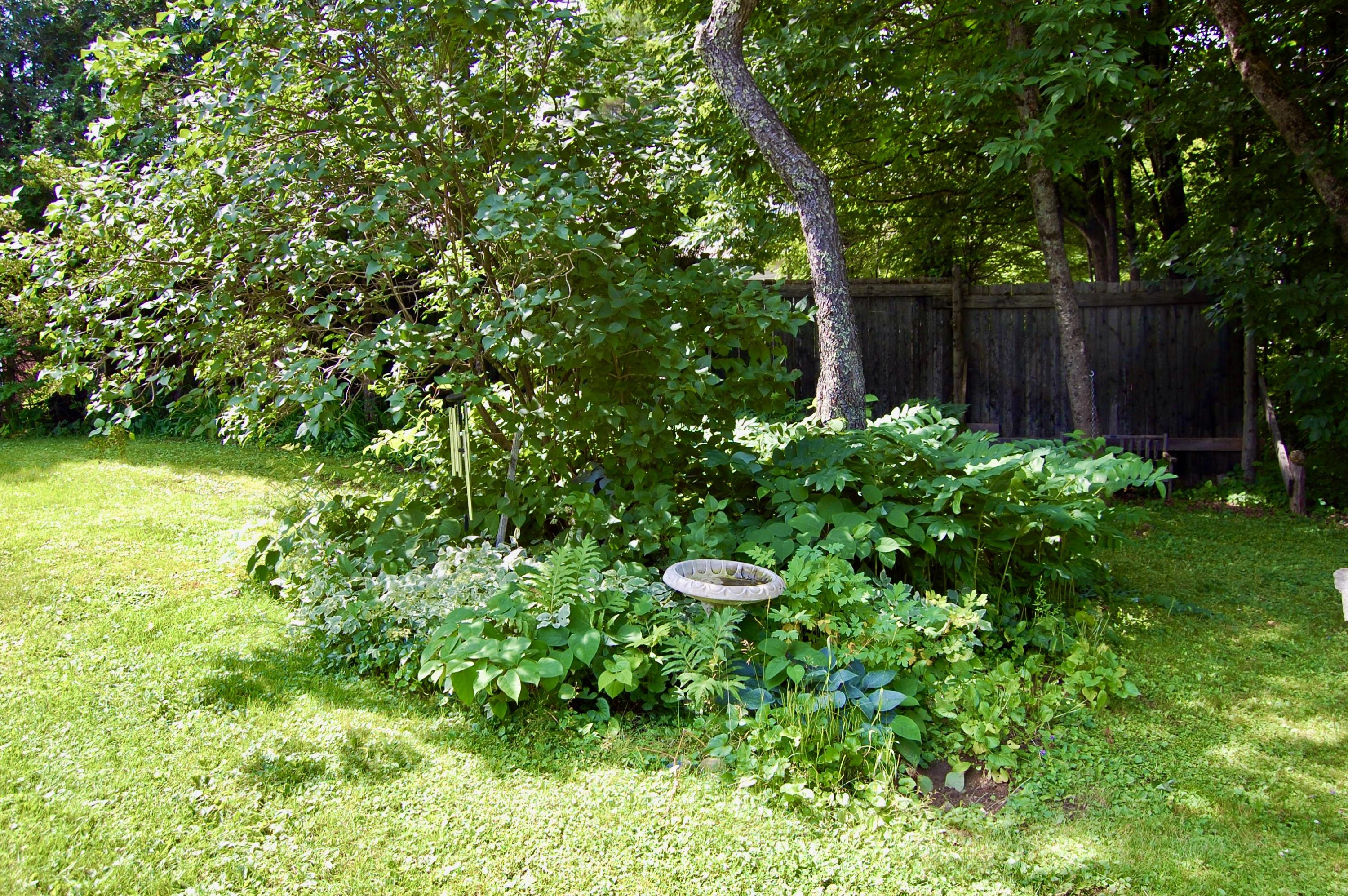 10 Lovejoy Pond Road Wayne, ME 04284 - Photo 56 of 65 BirdBath