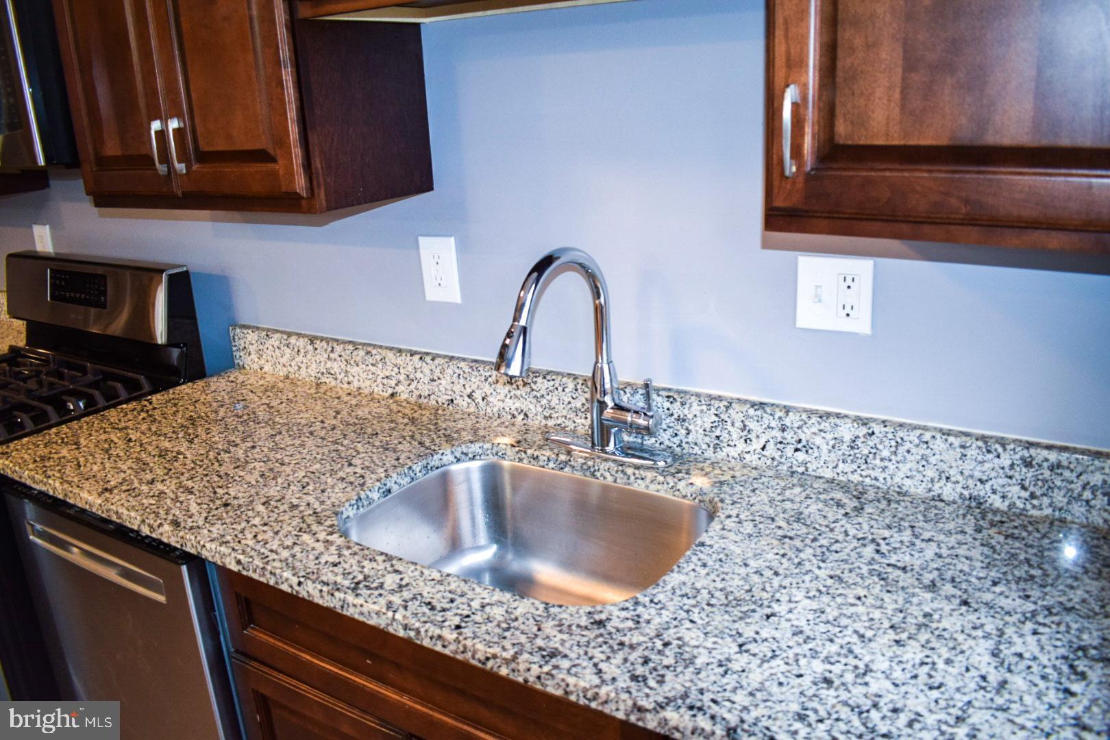 4227 Flowerton Road Baltimore, MD 21229 - Photo 14 of 45 a close view of sink and tap