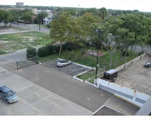 a view of a park with large trees