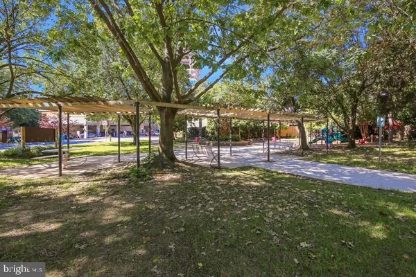 a view of yard with tree s