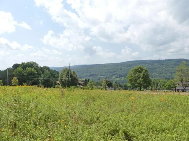 $49,000 | 492 Highland Road, Andes, NY 13731