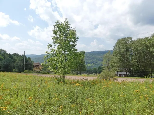 $49,000 | 492 Highland Road, Andes, NY 13731