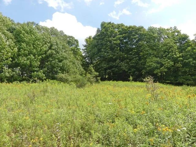 $49,000 | 492 Highland Road, Andes, NY 13731