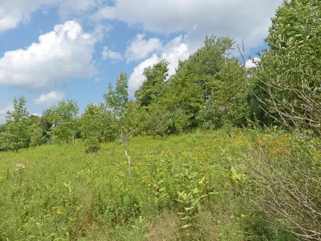 $49,000 | 492 Highland Road, Andes, NY 13731