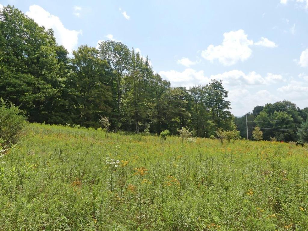 492 Highland Road Andes, NY 13731 - Photo 6 of 8