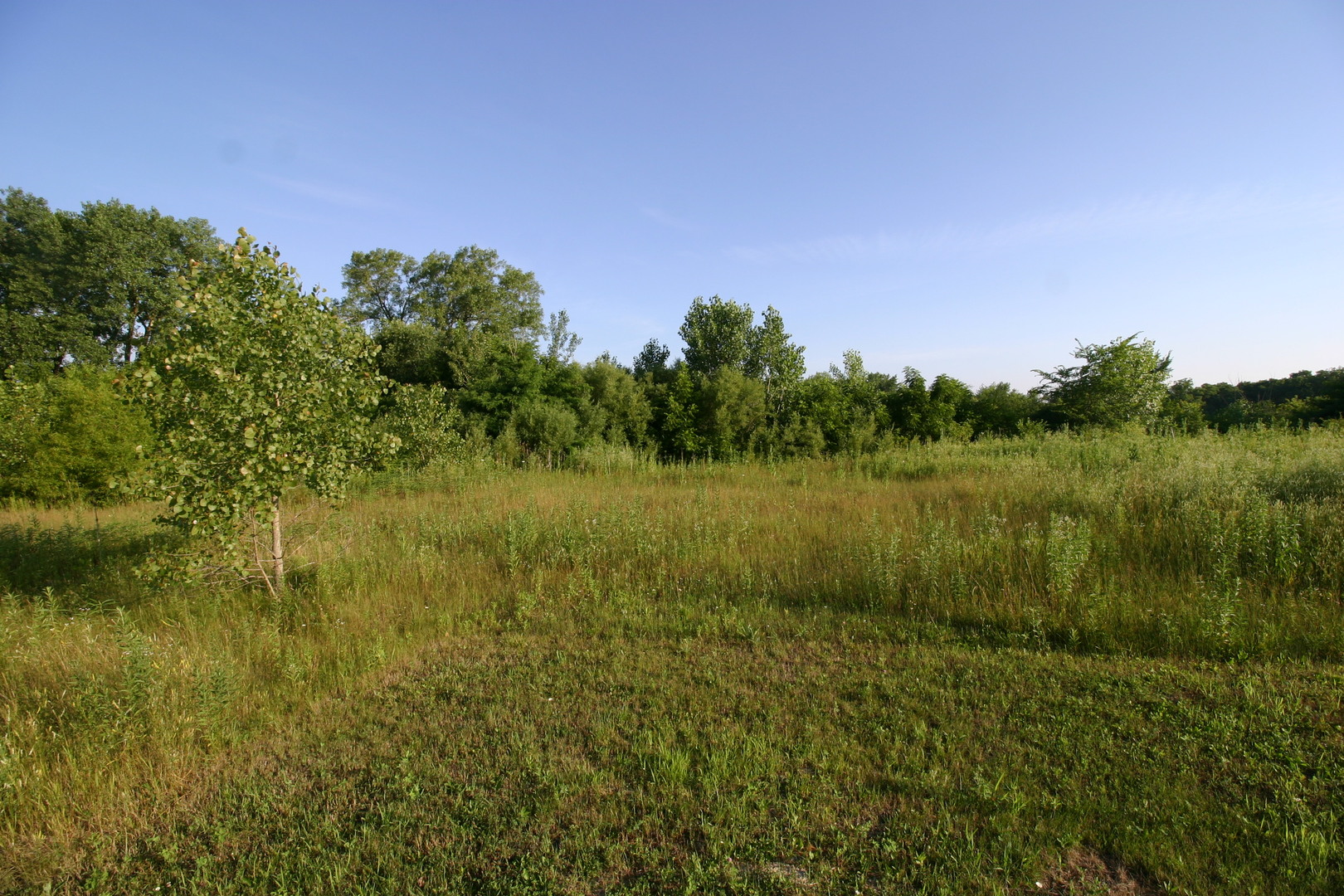 1400-apx West Exchange Street Crete, IL 60417 - Photo 1 of 11 a view of a lake with houses in the back