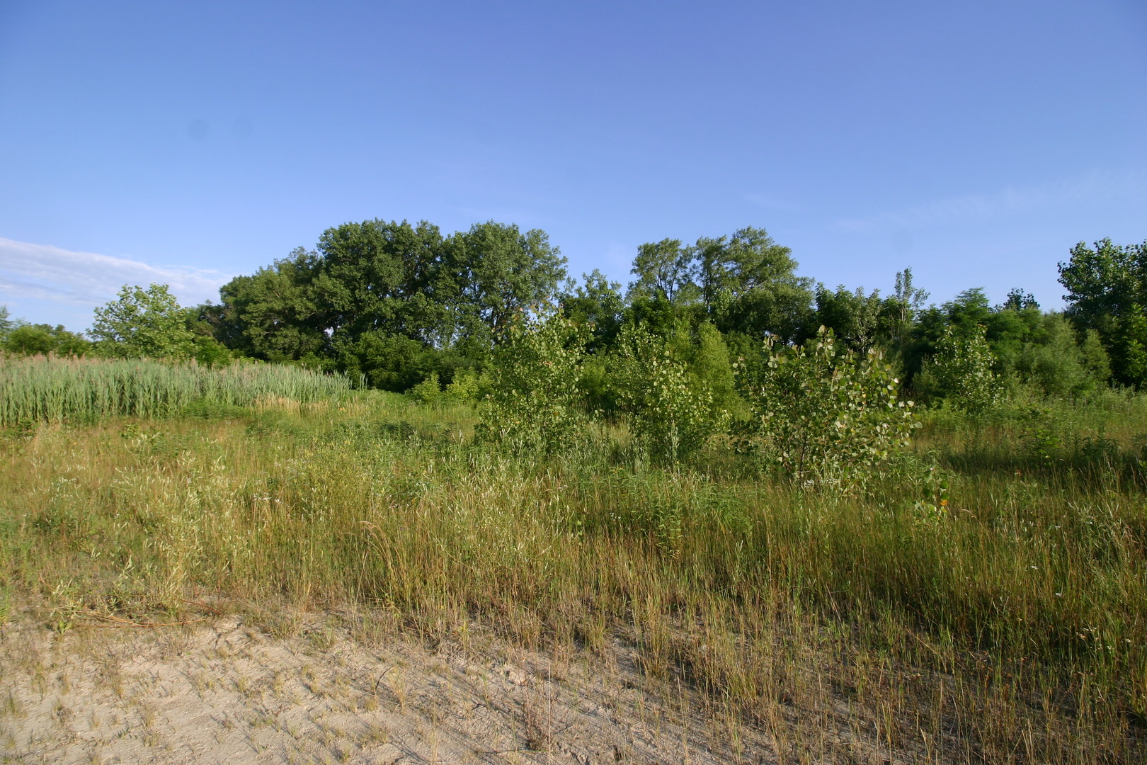 1400-apx West Exchange Street Crete, IL 60417 - Photo 4 of 11 a view of a lake and green valley