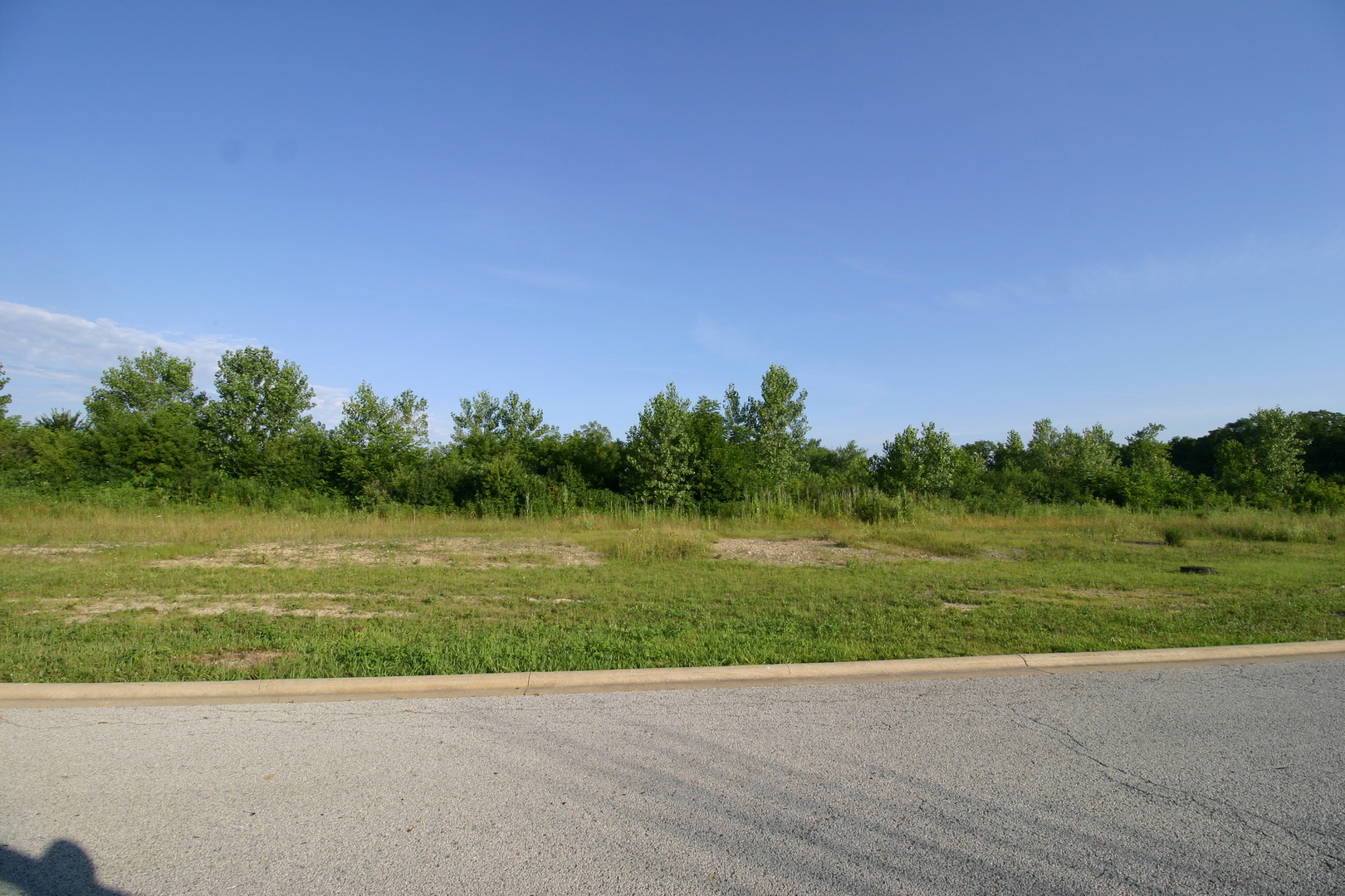 1400-apx West Exchange Street Crete, IL 60417 - Photo 5 of 11 a view of a grassy field with trees