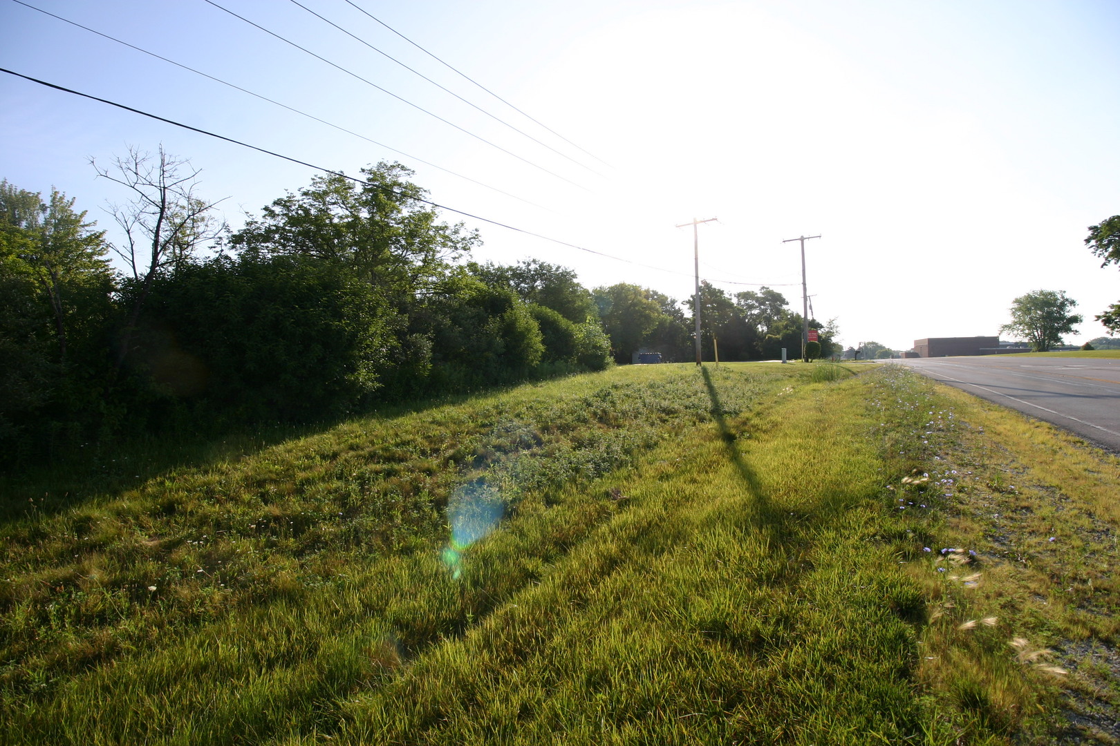 1400-apx West Exchange Street Crete, IL 60417 - Photo 9 of 11 a view of a big yard with potted plants