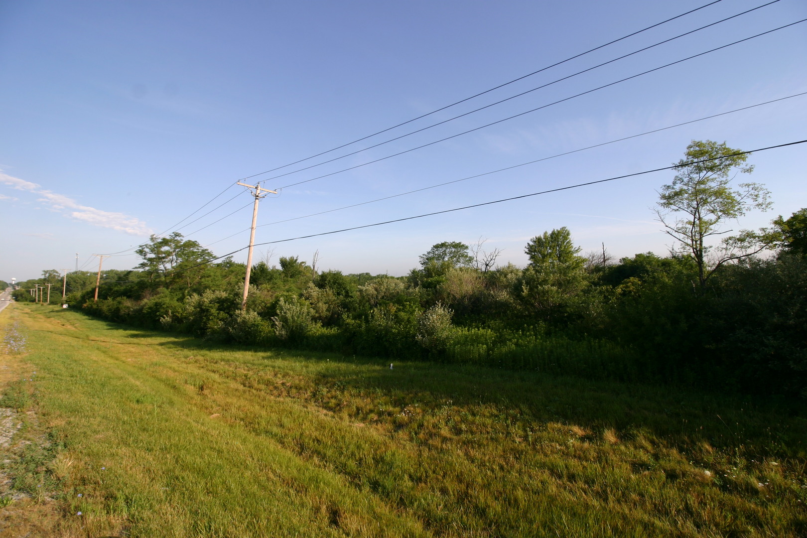 1400-apx West Exchange Street Crete, IL 60417 - Photo 10 of 11 a view of a garden