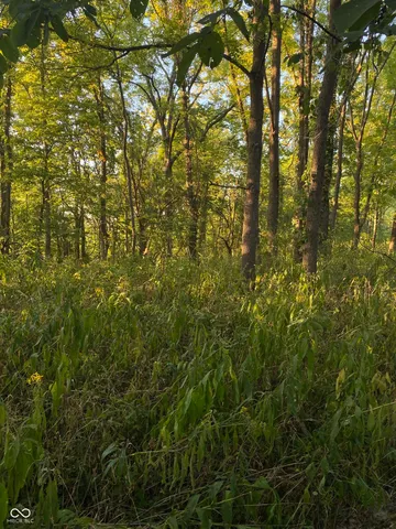 $296,730 | 0 State Road 75 South, North Salem, IN 46165