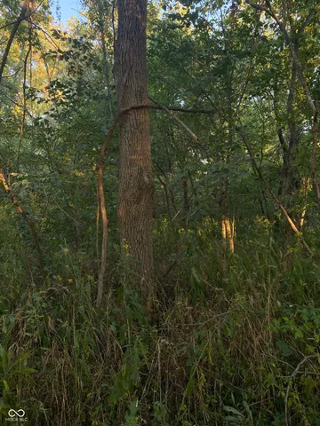 $296,730 | 0 State Road 75 South, North Salem, IN 46165