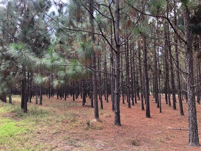 0 Barlow Road Cochran, GA 31014 - Photo 6 of 21
