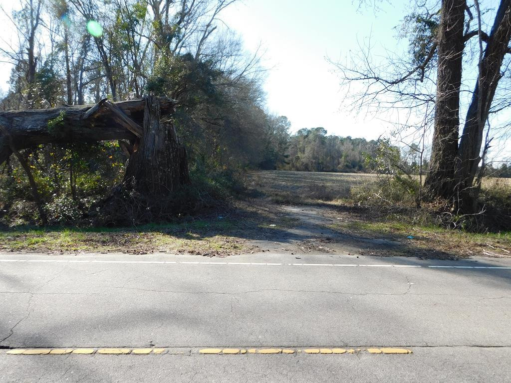 1807 Robert Rees Durant Road Alcolu, SC 29001 - Photo 2 of 13 Gallery Image 2