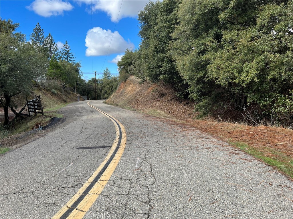 0 Jean Road East Oakhurst, CA 93644 - Photo 3 of 12 a view of a dry yard with trees