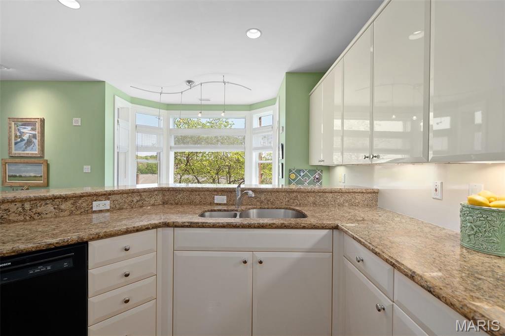 800 South Hanley Road, Unit 2D St. Louis, MO 63105 - Photo 22 of 41