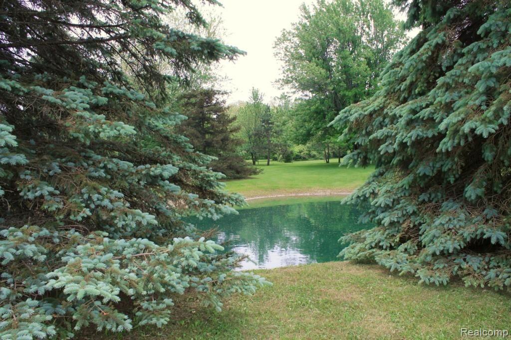 6544 General Squier Road Almont, MI 48003 - Photo 50 of 53 View of pond and back yard area.