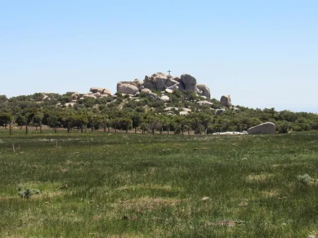 a view of a field of grass and trees