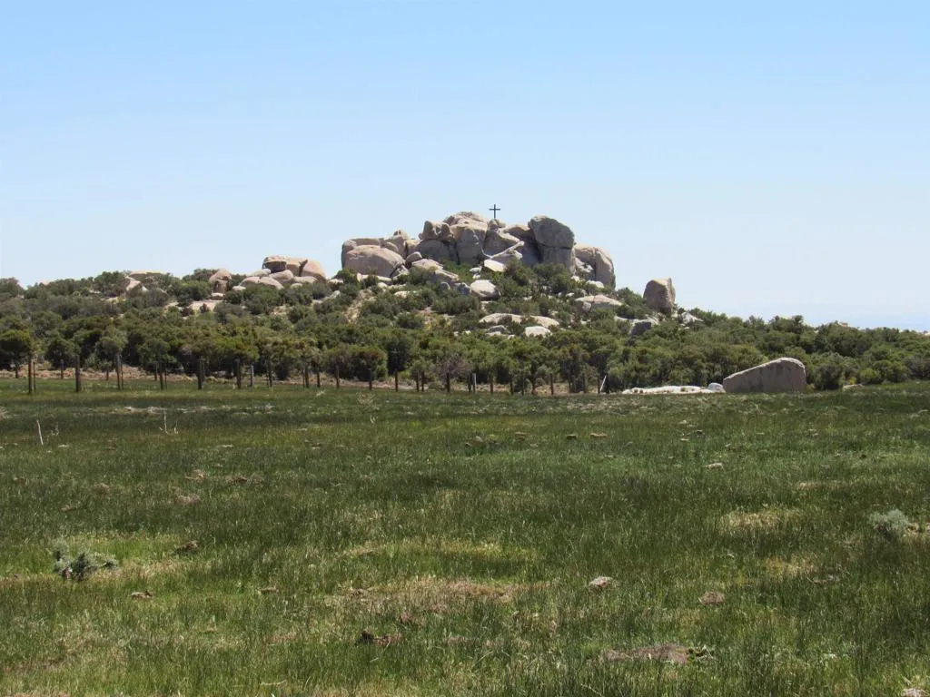 a view of a field of grass and trees