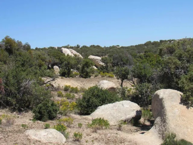 a view of a backyard of a house