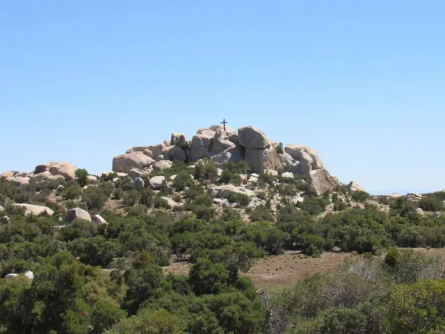 a view of a tree in a field