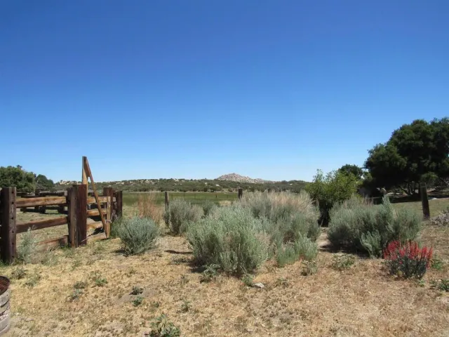 a view of a dry yard with wooden fence
