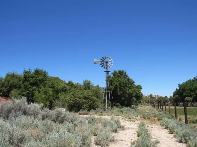 a view of a dry yard with trees in the background