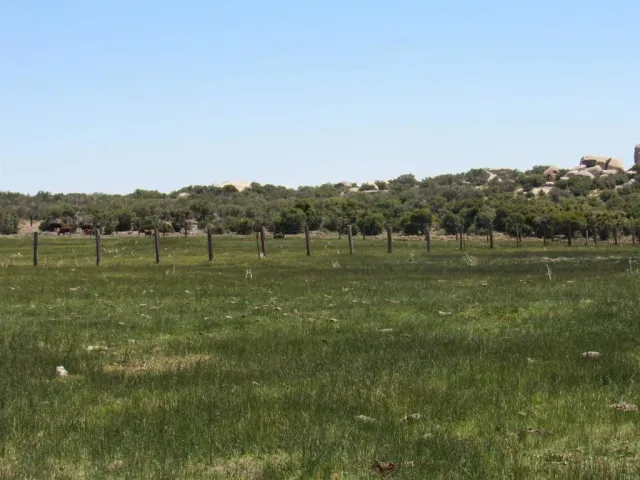a view of a field with grass