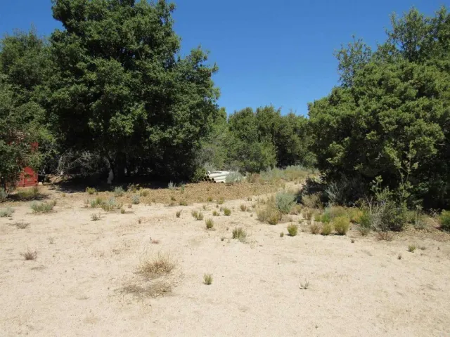 a view of back yard of the house