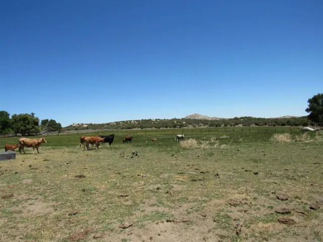 a view of a lake with a mountain in the background