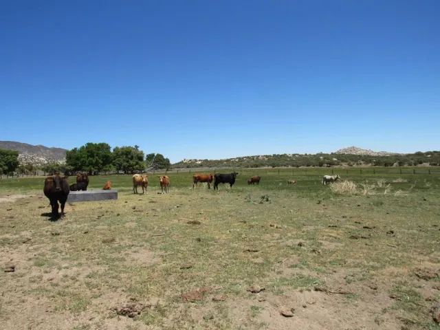 a view of a lake with a bench and yard