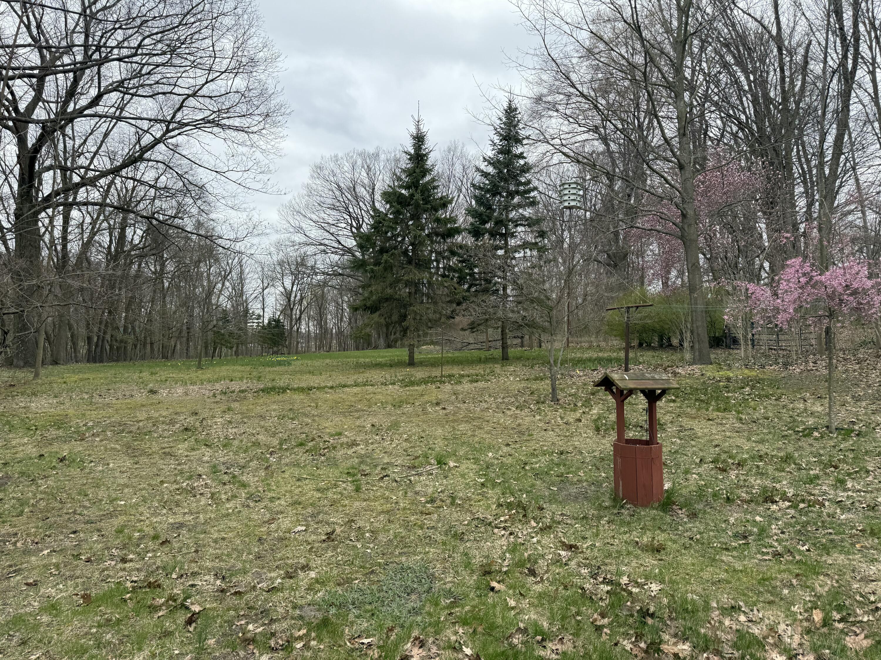 5873 Harding Street Coloma, MI 49038 - Photo 20 of 23 IMG_0083