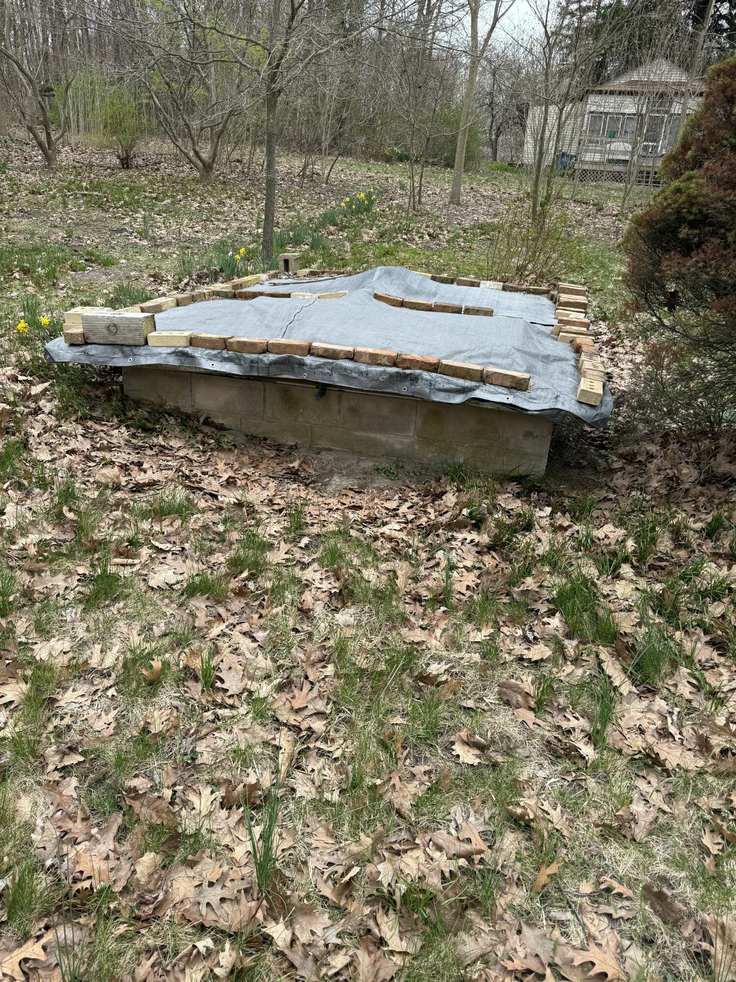 5873 Harding Street Coloma, MI 49038 - Photo 21 of 23 IMG_0085