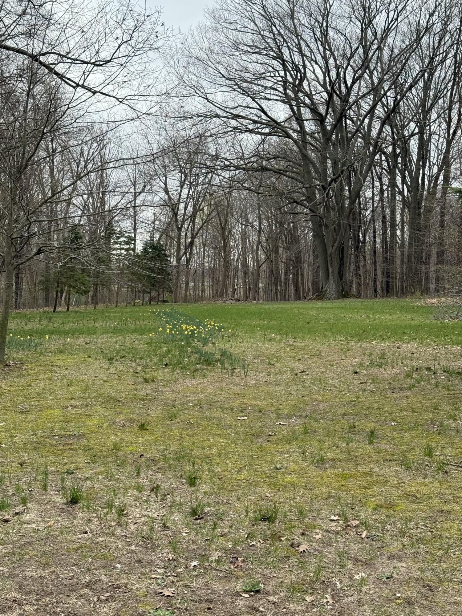 5873 Harding Street Coloma, MI 49038 - Photo 22 of 23 IMG_0086