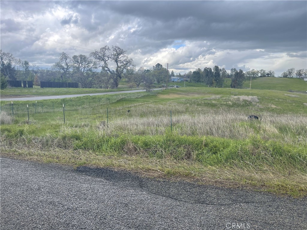 17164 Wagonwheel Road Corning, CA 96021 - Photo 1 of 1 a view of outdoor space with green space