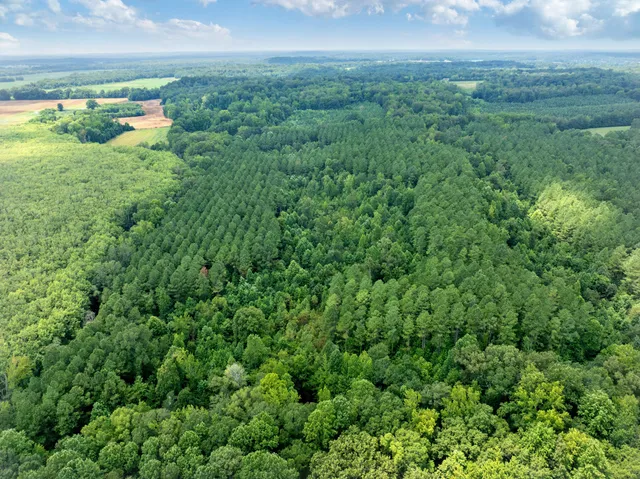 a view of a green field with lots of green space