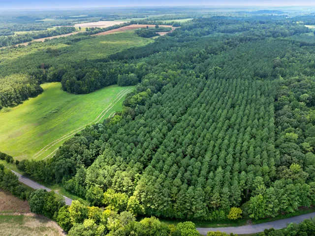 a view of a field with an ocean view