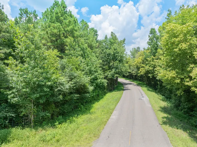 a view of street with small yard