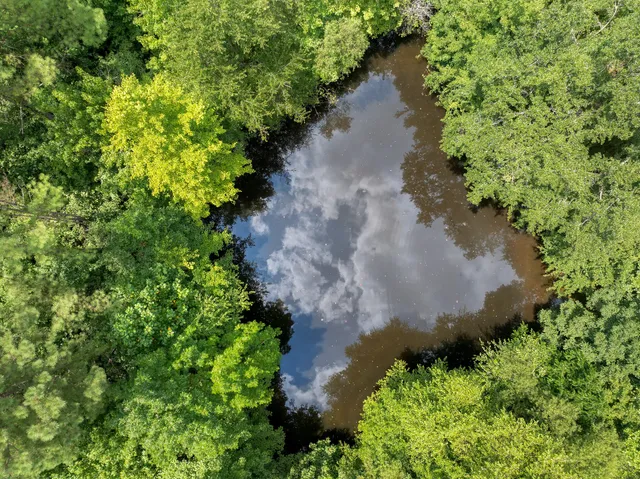an aerial view of a house with a yard and large trees