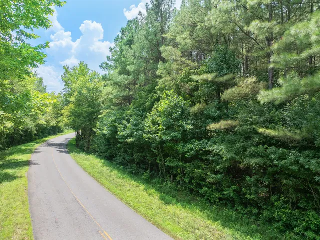 a view of a lush green field