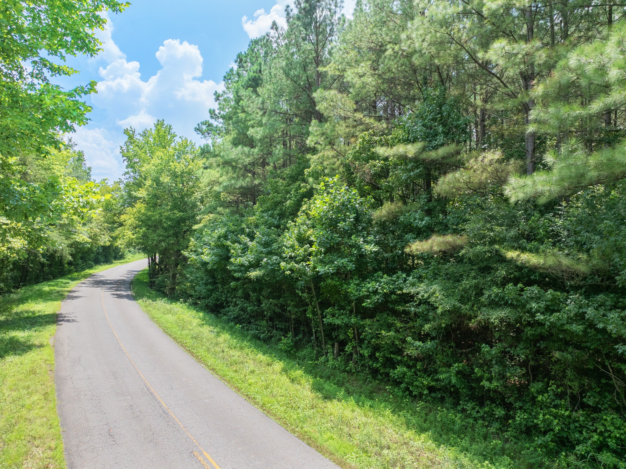 0 Darden Road Darden, TN 38328 - Photo 4 of 13