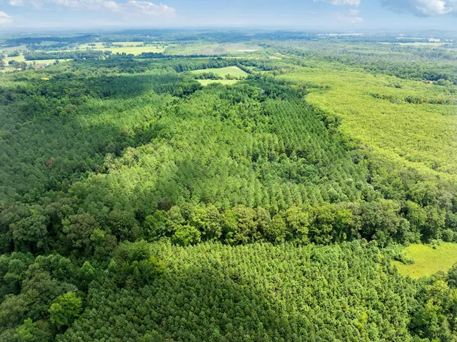 a view of a field of grass and trees